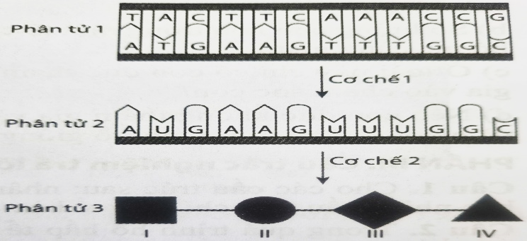 Hình minh họa câu 32