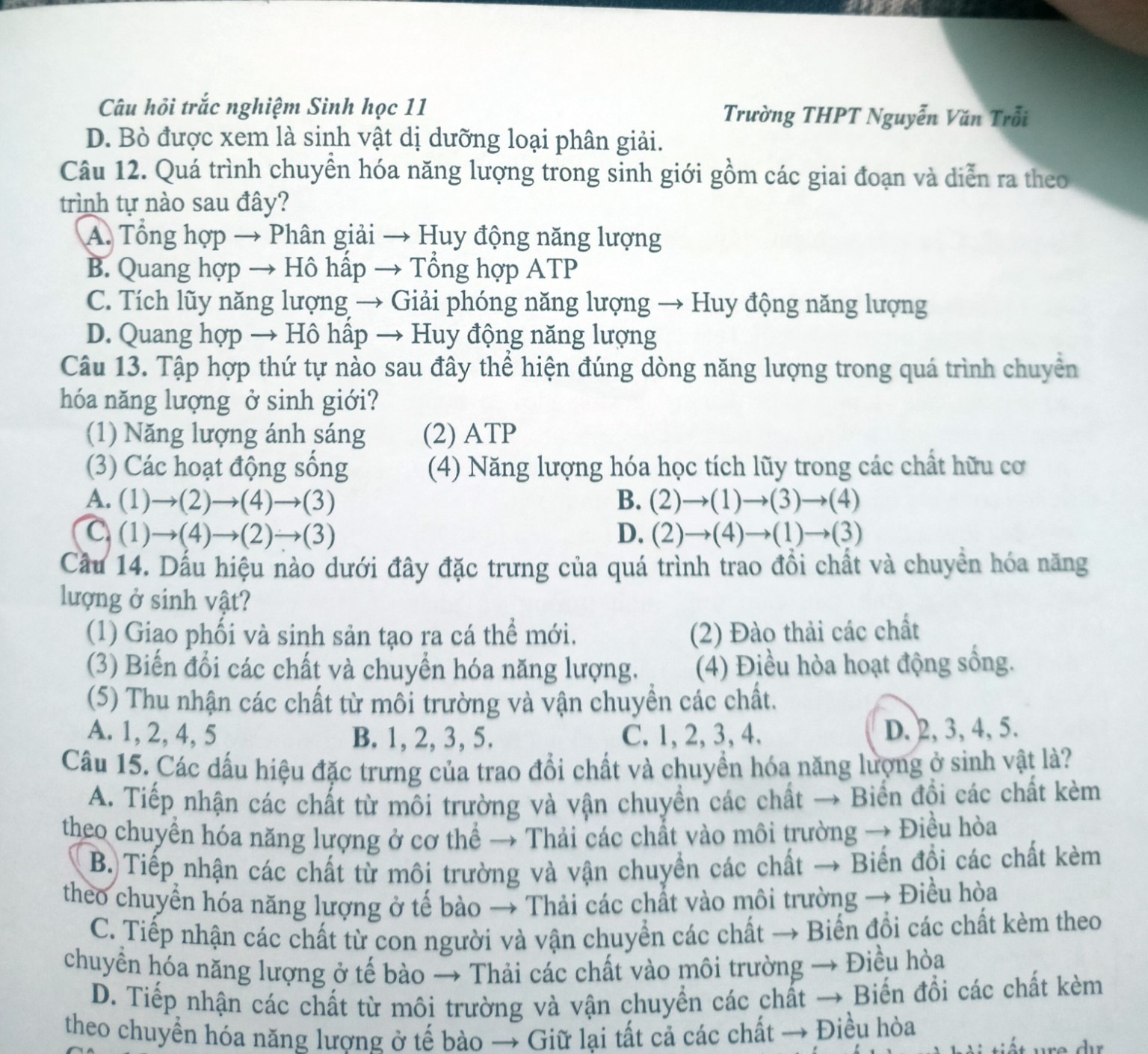 Hình minh họa câu 15