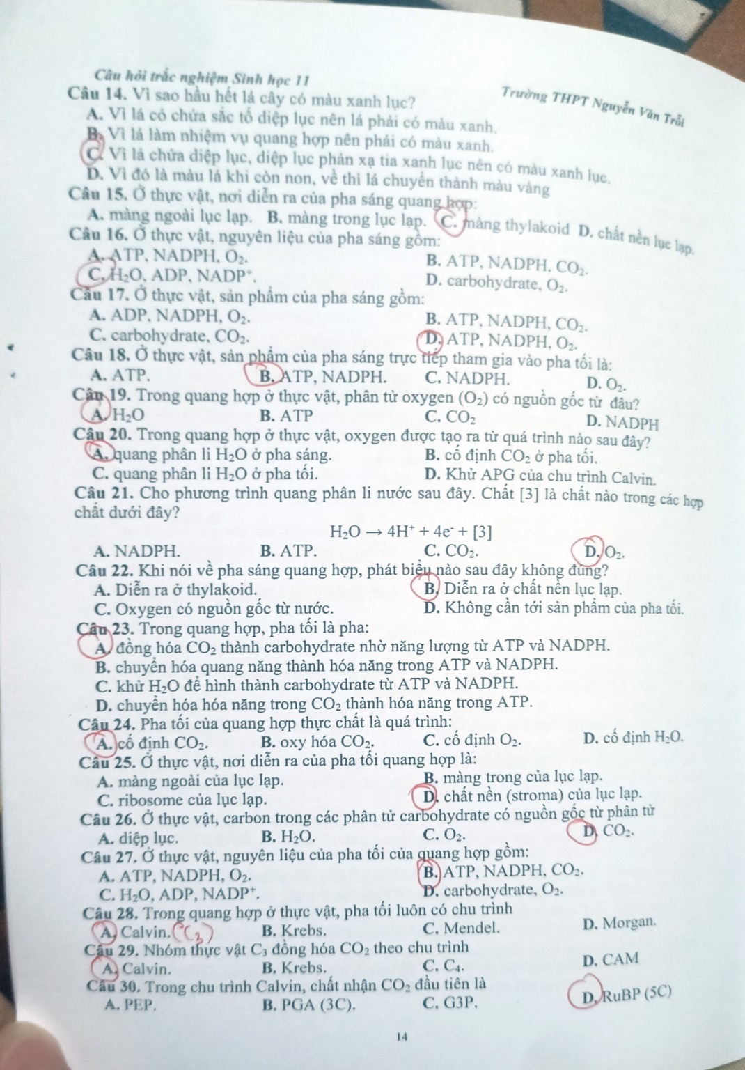 Hình minh họa câu 9