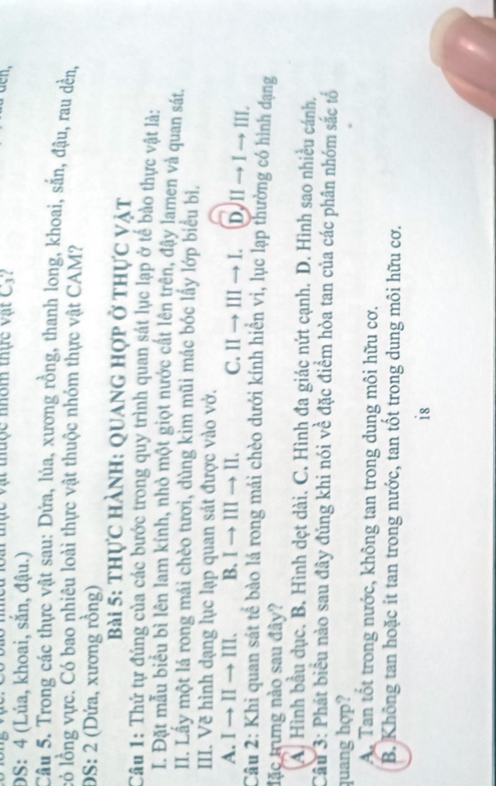 Hình minh họa câu 13