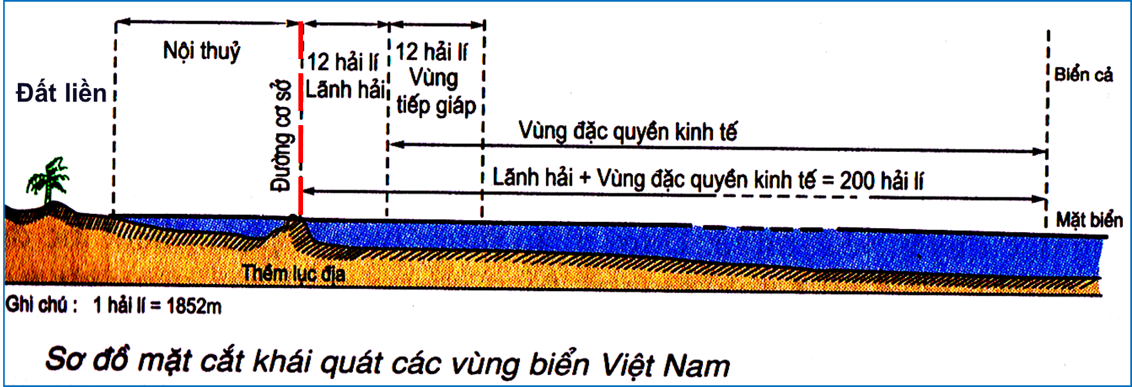 Hình minh họa câu 9