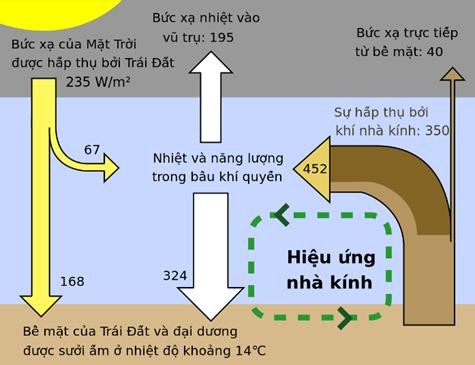 Hình minh họa câu 173